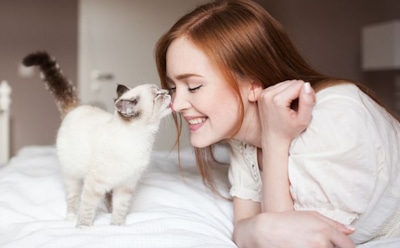 Комок беды внутри кота: как вовремя заметить проблему и спасти пушистого любимца — когда шерсть превращается в угрозу