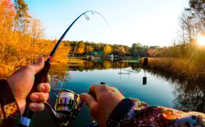 Рыбак рыбака по венам видит издалека: врач рассказал о рисках медитации с удочкой — как не словить тромб на рыбалке