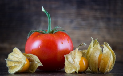 Физалис наносит ответный удар по нехватке витаминов: этот необычный салат удивит гостей и пополнит растраченное в летнюю жару здоровье