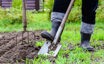 Дача — источник долголетия: стало известно, как садоводство влияет на здоровье и настроение