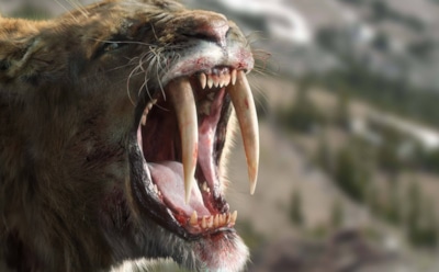 Загадка саблезубых кошек раскрыта: ученые выяснили, что обрекло древних хищников на исчезновение