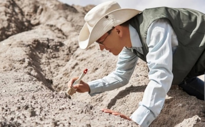 Зарытые сокровища войны: в Бранденбурге найден сосуд с монетами XVII века — редкий клад из эпохи мародеров