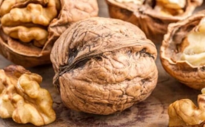 Горечь грецких орехов не всегда признак старости: причины привкуса и проверенные способы избавления
