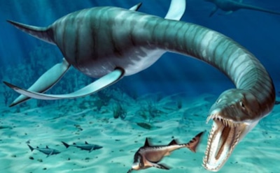 Тайна из пыльного угла: скелет морского хищника из музея оказался древнейшим плезиозавром