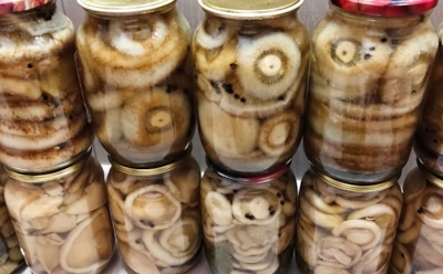 В зимние холода мы с семьей не грустим — груздями хрустим: холодная засолка делает вкус этих грибочков неповторимым