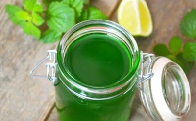 Это варенье из мяты стало моей вечерней традицией — остальные называют его сладким лекарством от усталости