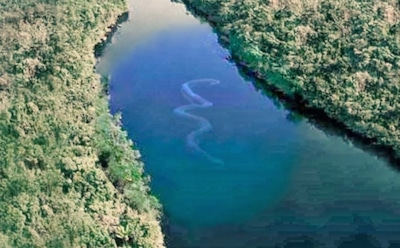 Интернет обсуждает чудовище: загадочный силуэт в Сеуле напугал и заинтриговал тысячи людей — эксперт срывает покровы