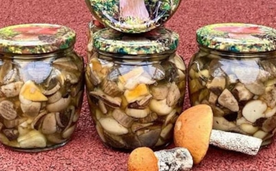 Закатываю несколько баночек грибов по бабушкиному рецепту каждую зиму: эти маринованные подосиновики гости сметают со стола первыми