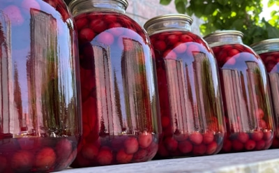 Сладкий спаситель от зимней хандры: этот ароматный вишневый компот согреет и наполнит силами в холода