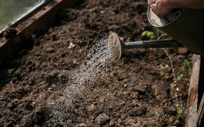Следующий год под угрозой, если пропустите этот шаг: узнайте, как правильно ухаживать за огородом после сбора урожая