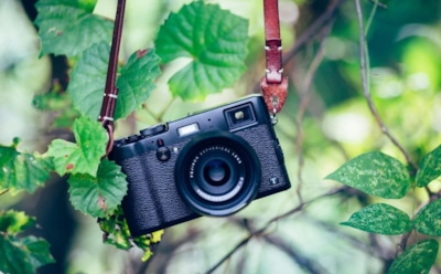 Осенний лайфхак от бывалых: снимок грядки перед сбором спасет от ошибок и увеличит плодородие