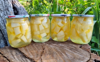 Отличное лакомство для всей семьи: эта дыня в сиропе — идеальная находка для запасливых хозяек