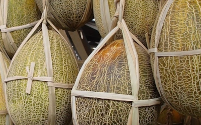 Для вас лето не закончится в августе: рассказываем, как сохранить дыню до зимы и радовать семью сочным вкусом