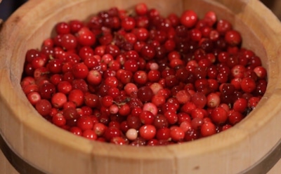 Вкус детства и запас здоровья: такая моченая брусника без хлопот хранится до весны и радует ароматом