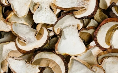 Белые грибы на моем столе — круглый год: эта ароматная заготовка превратит любое блюдо в шедевр — делюсь секретами сушки и хранения