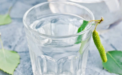 Природа делится силой: ни одна зима не обходится без заготовки березового сока — вся семья его просто обожает