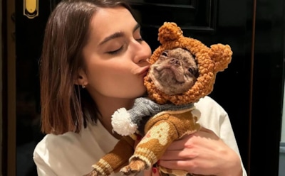 Пытки вместо дрессировки: любимые питомцы певицы Mona и блогера Джарахова попали в лапы живодёров