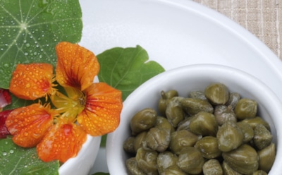 Гости в шоке от этих каперсов — делаю их из настурции: теперь моим блюдам завидует даже шеф ресторана по соседству