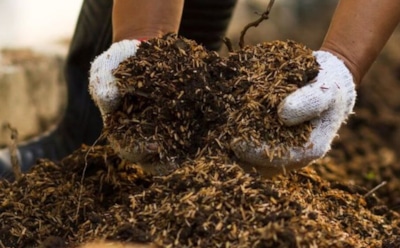 На участке мусор превращаю в золото: этот простой трюк поможет преобразовать отходы в плодородное удобрение всего за одно лето