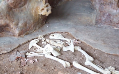 Спор длиной в десятилетия: археологи определили возраст уникальной находки из Греции