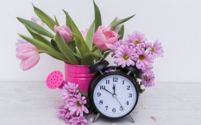 Ароматный будильник для нейронов: россиянам рассказали, какие запахи поднимают настроение и включают память