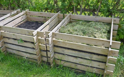 Однажды испортил компост сорняками — зато теперь знаю, что туда класть нельзя: делюсь печальным опытом