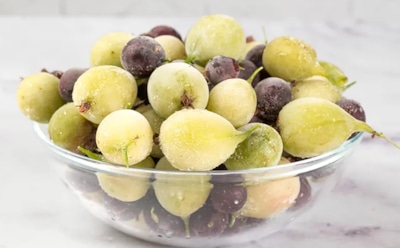 Крыжовник держу в морозилке: заготавливаю без хлопот, зато зимой все есть — компоты, джемы и даже соусы