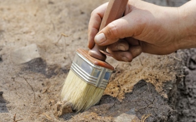 Секреты древних путей: редкий серебряный джитал нашли во Владимирской области