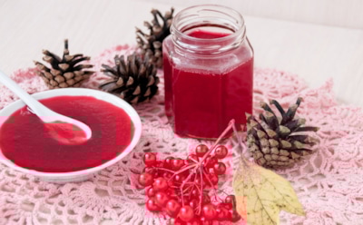 Витаминный эликсир из леса: учимся варить сироп из калины на зиму — природная защита от простуд и источник энергии