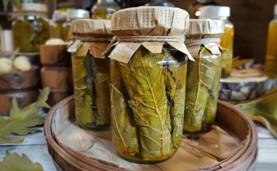 Люблю долму и голубцы — так что без запаса к зиме не обойтись: делюсь проверенным способом хранения виноградных листьев