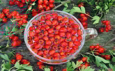 Шарлотка и штрудель отошли на задний план: осенью самое время для этого пирога — насладитесь вкусом с пользой