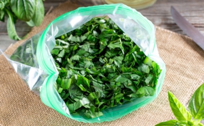 У меня в блюдах зелень — круглый год: делюсь проверенным секретом хранения базилика