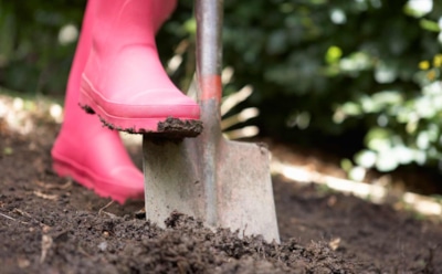 Про лопату стоит забыть: названа главная ошибка садоводов при подготовке грядок весной