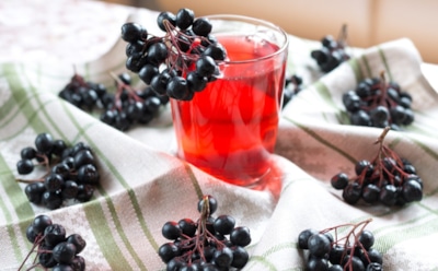 Всегда делаю компот из черноплодки на зиму — это не только отличный вкус, но и витаминная поддержка в холодный сезон