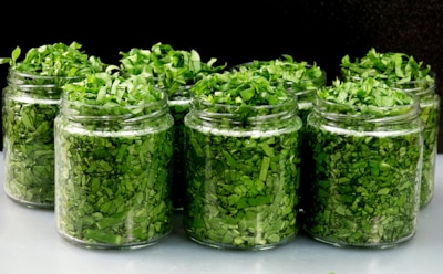 Зелень солю на зиму: откроешь в холода баночку — и сразу нахлынут воспоминания о солнце и лете