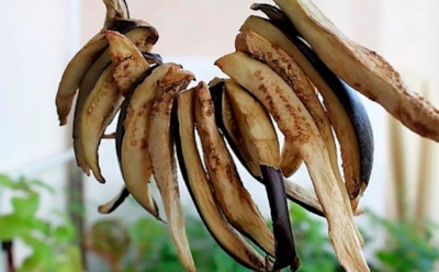 Берем, сушим — потом наслаждаемся: такие баклажаны ваши гости ни за что не отличат от шампиньонов