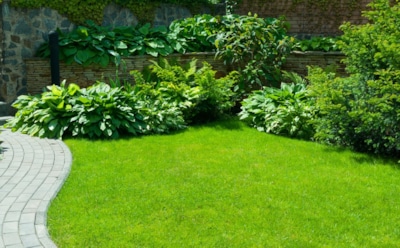 Осенний уход за газоном — инвестиция в зеленую роскошь следующего лета: готовим лужайку к морозам без лишних хлопот