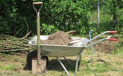 Урожай с каждым годом меньше — это ваша почва намекает, что пора ее подкормить: исправляем ситуацию грамотно