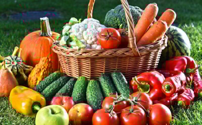 У меня на участке пахнет цветами — у соседа не совсем: про навоз на грядках давно пора забыть — есть альтернативы поинтереснее