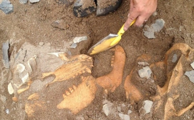 Сокровища древних сибиряков: археологи сделали уникальные находки на берегах Оби