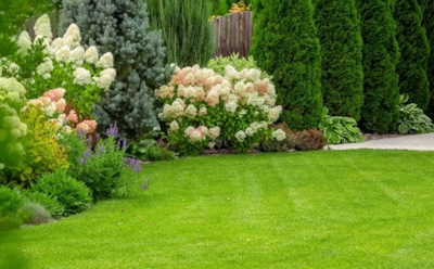 Последняя стрижка сентября — и зеленая лужайка весной обеспечена: подготовьте свой газон к зиме правильно — важные аспекты