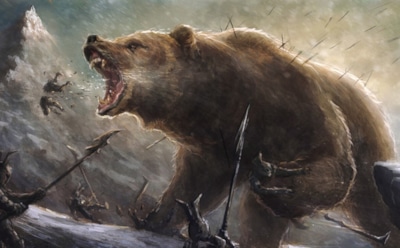 Трагедия мохнатого гладиатора: ученые обнаружили останки медведя-бойца римской арены