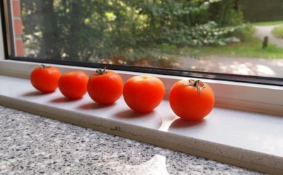Попробуйте осенние лайфхаки с томатами — с ними ваши плоды будут краснеть равномерно и без потерь