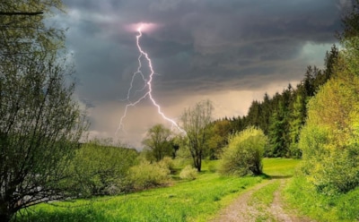 Битва неба и земли меняет климатический баланс: ученые выяснили, что молнии убивают миллионы деревьев
