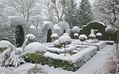 Зимний сад как из сказки: превратите свой участок в праздник для глаз — пусть радует весь холодный сезон