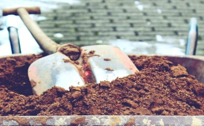 Смешайте в ведре эти 2 ингредиента и посыпьте огород в октябре: лучшее средство оздоровить почву