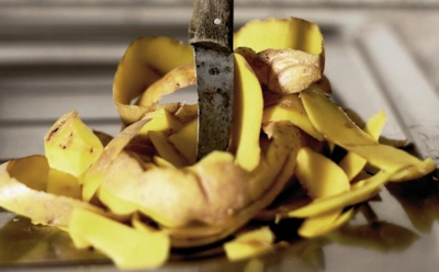 Вы выбрасываете кухонные отходы зря: это бесплатное удобрение всегда под рукой