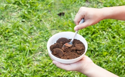 Прекратите удобрять сейчас же: мифы о кофейном жмыхе, который способен погубить урожай