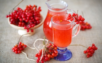 Баночка калины зимой спасает — и от тоски, и от простуды: витаминное решение для холодного времени