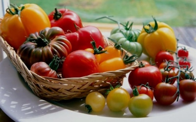 Все забыли этот старинный способ, а зря: как сохранить помидоры свежими до зимы